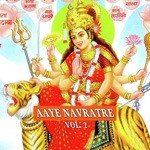 Aaye Navrate Vol. 2 - Jaspal Singh Song Download
